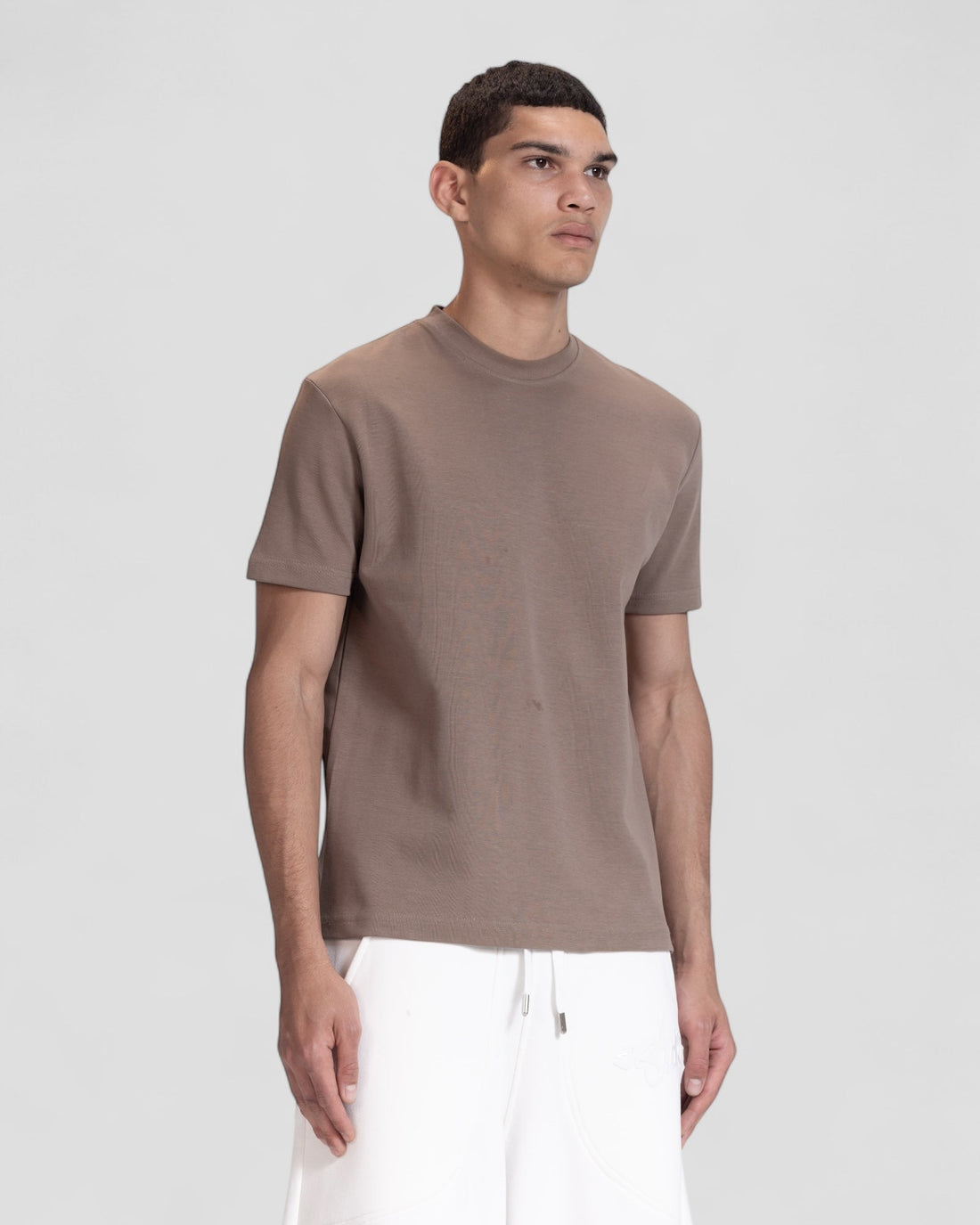 The Perfect Blank Brown Regular Fit Tshirt V1