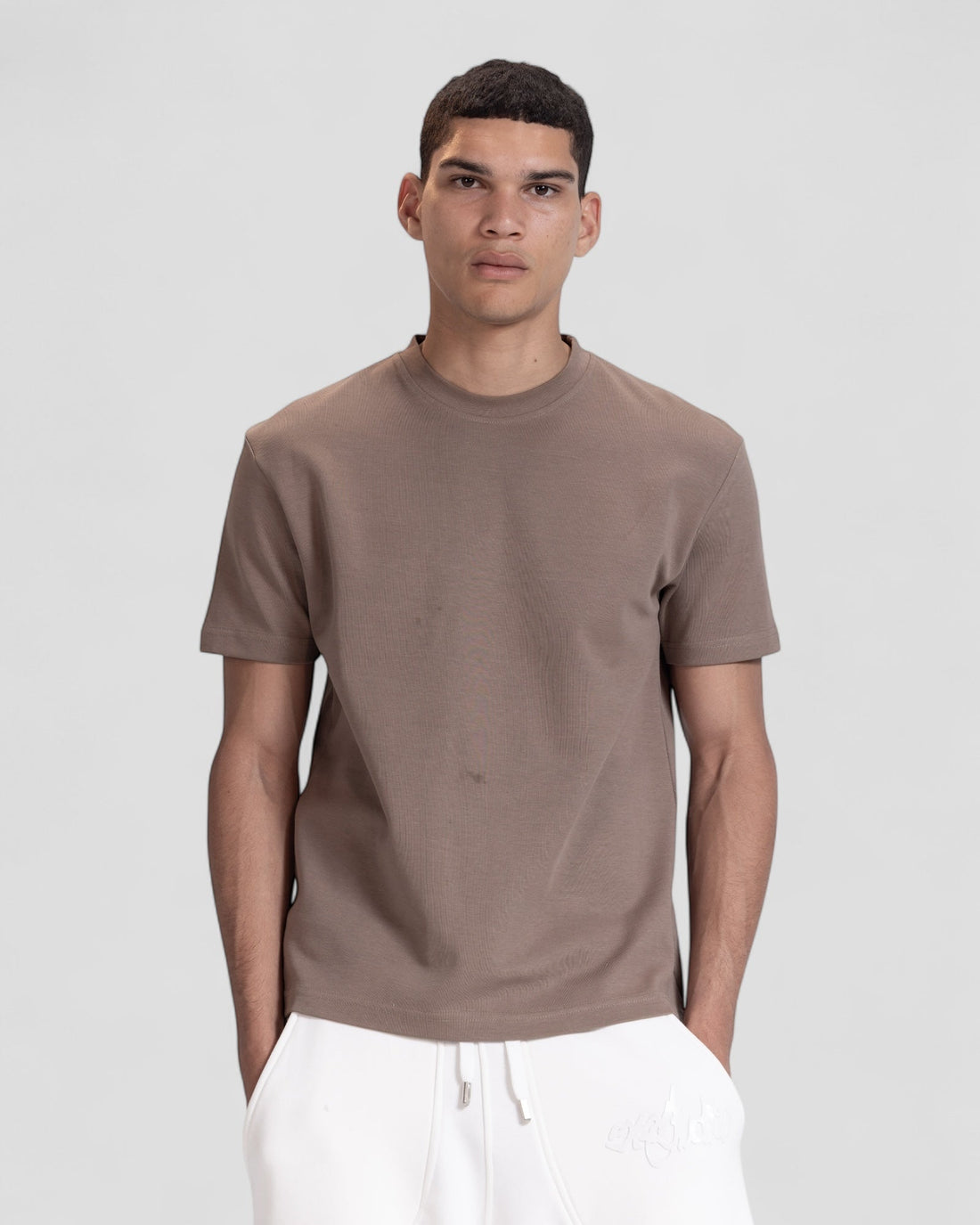 The Perfect Blank Brown Regular Fit Tshirt V1
