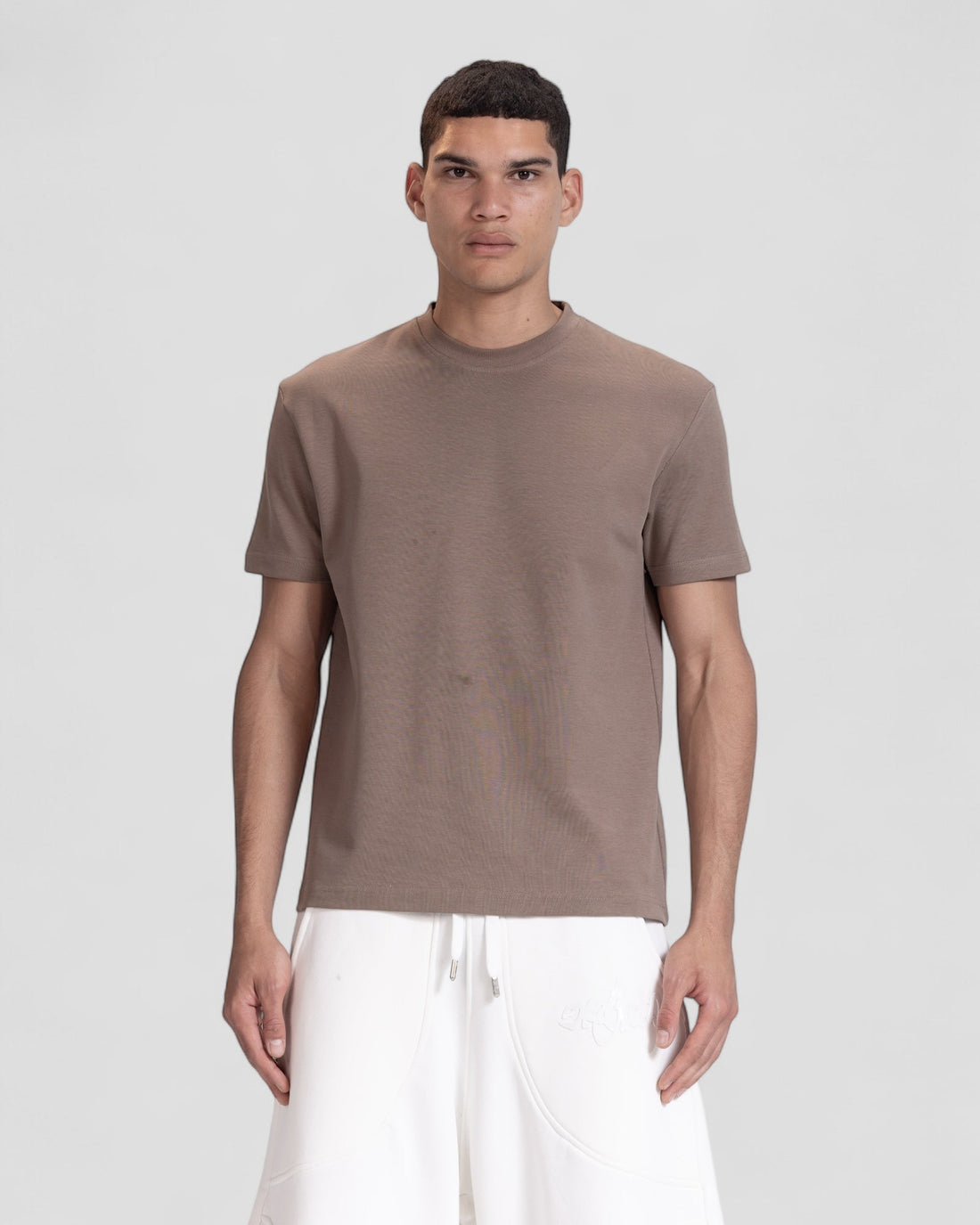 The Perfect Blank Brown Regular Fit Tshirt V1