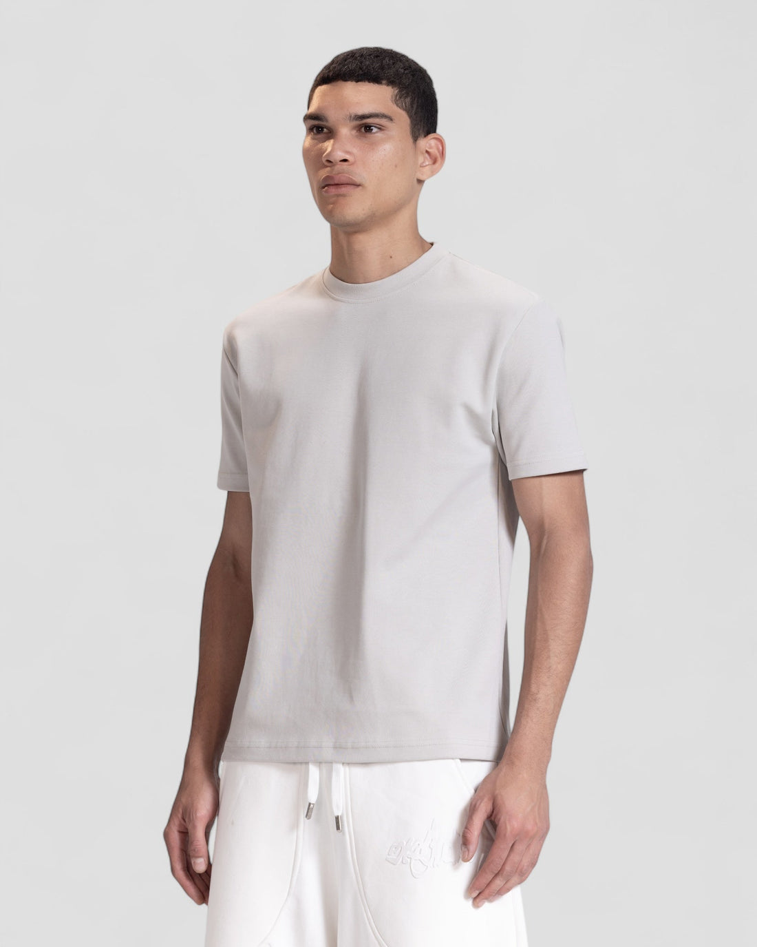 The Perfect Blank Light Grey Regular Fit Tshirt V1