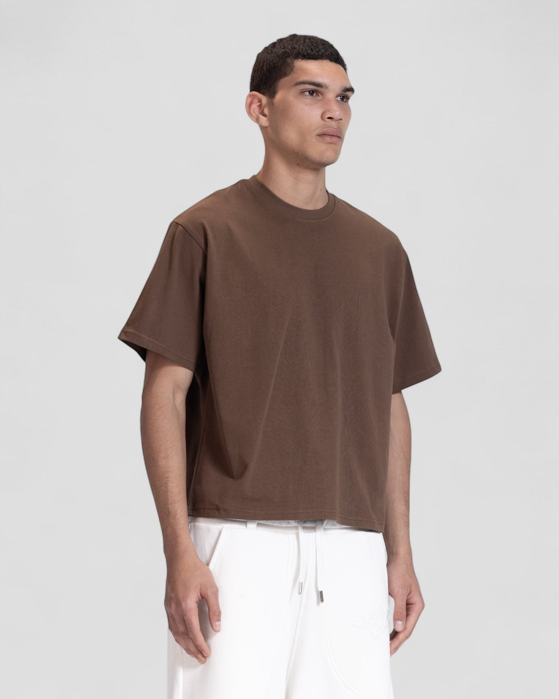 The Perfect Blank Dark Brown Boxy Tshirt V1