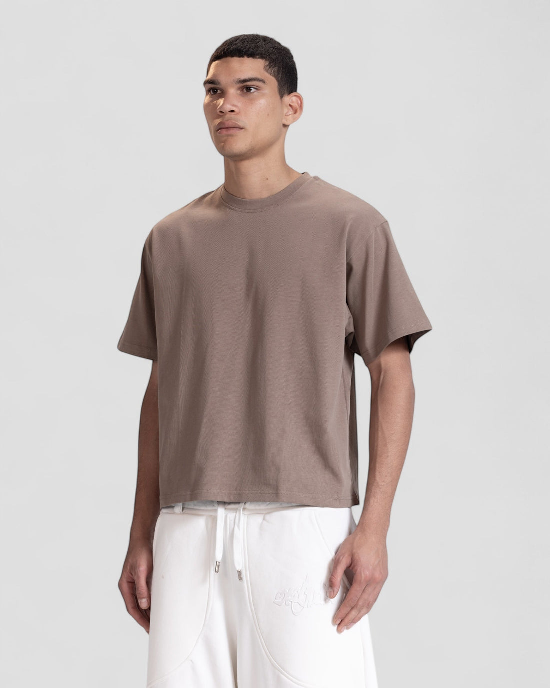 The Perfect Blank Brown Boxy Tshirt V1