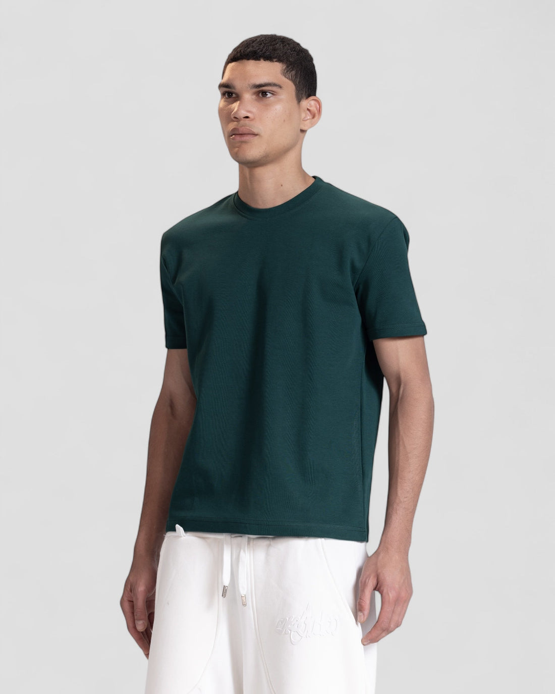 The Perfect Blank Teal Regular Fit Tshirt V1