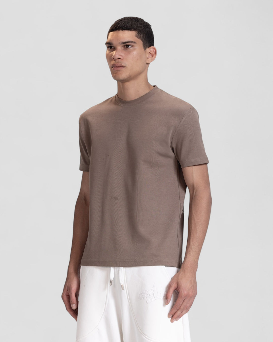 The Perfect Blank Brown Regular Fit Tshirt V1